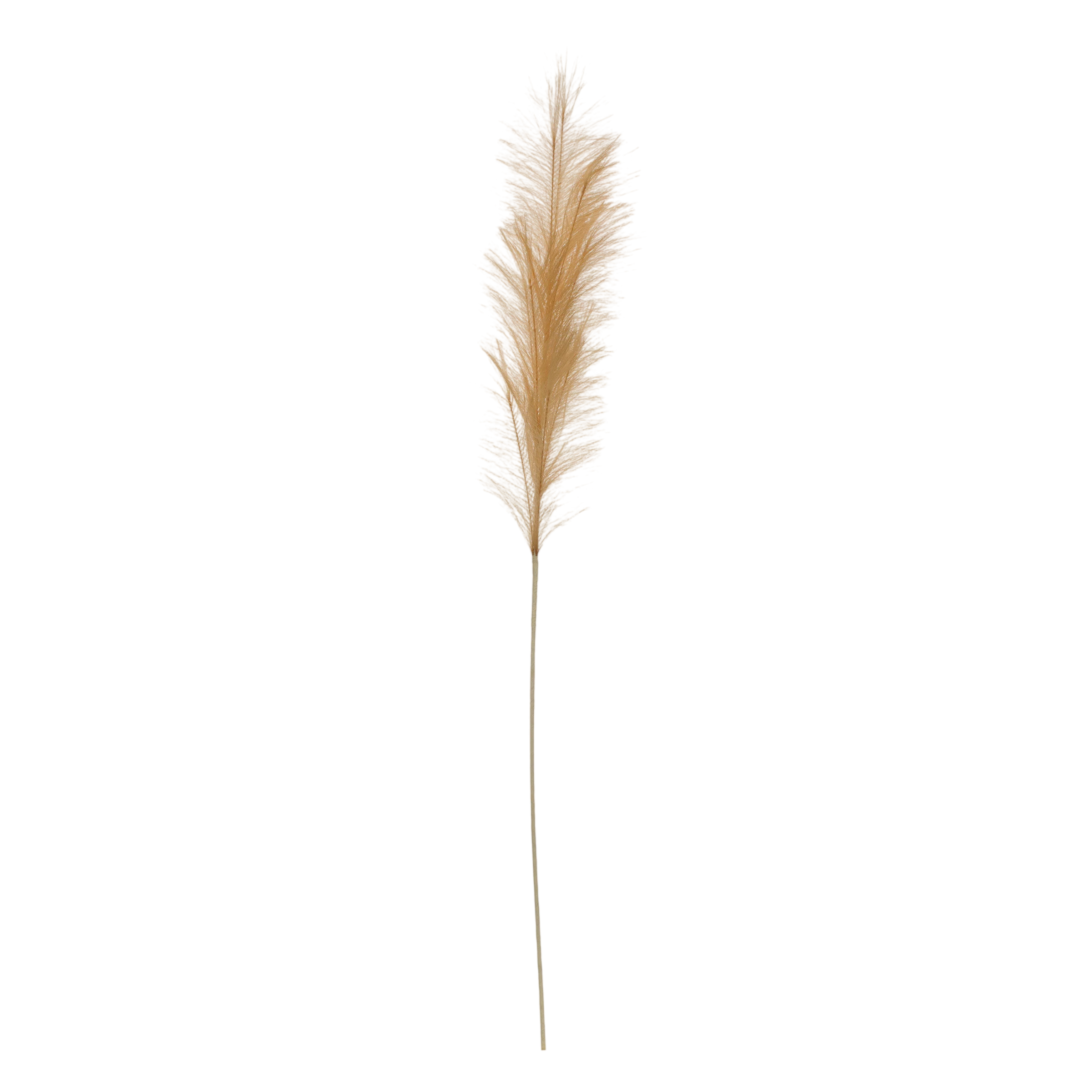 Faux Pampas Grass, Beige, Set of 2