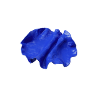 Frida Blue Porcelain Decorative Plate