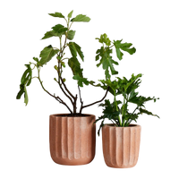 Fluted Planter