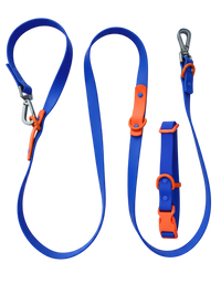 Fritz Collar + Leash Walk Set