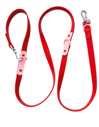 The Fritz Leash