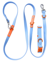 Fritz Collar + Leash Walk Set