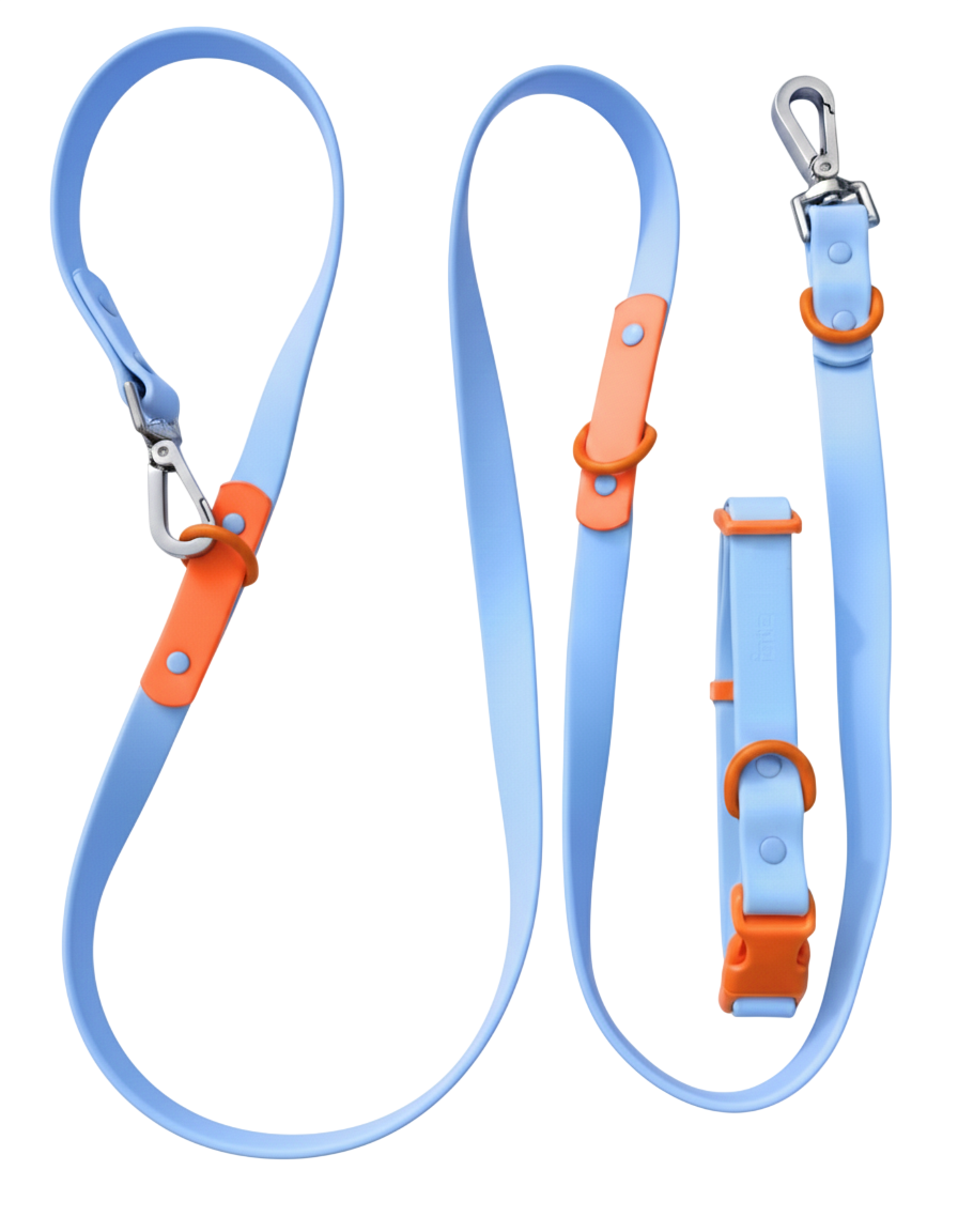 Fritz Collar + Leash Walk Set