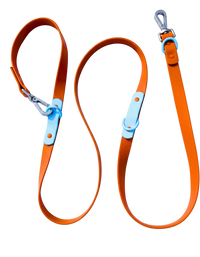 The Fritz Leash
