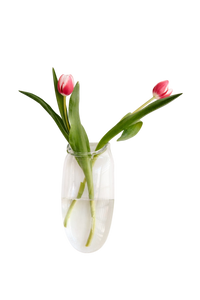 Wall Vase in Clear