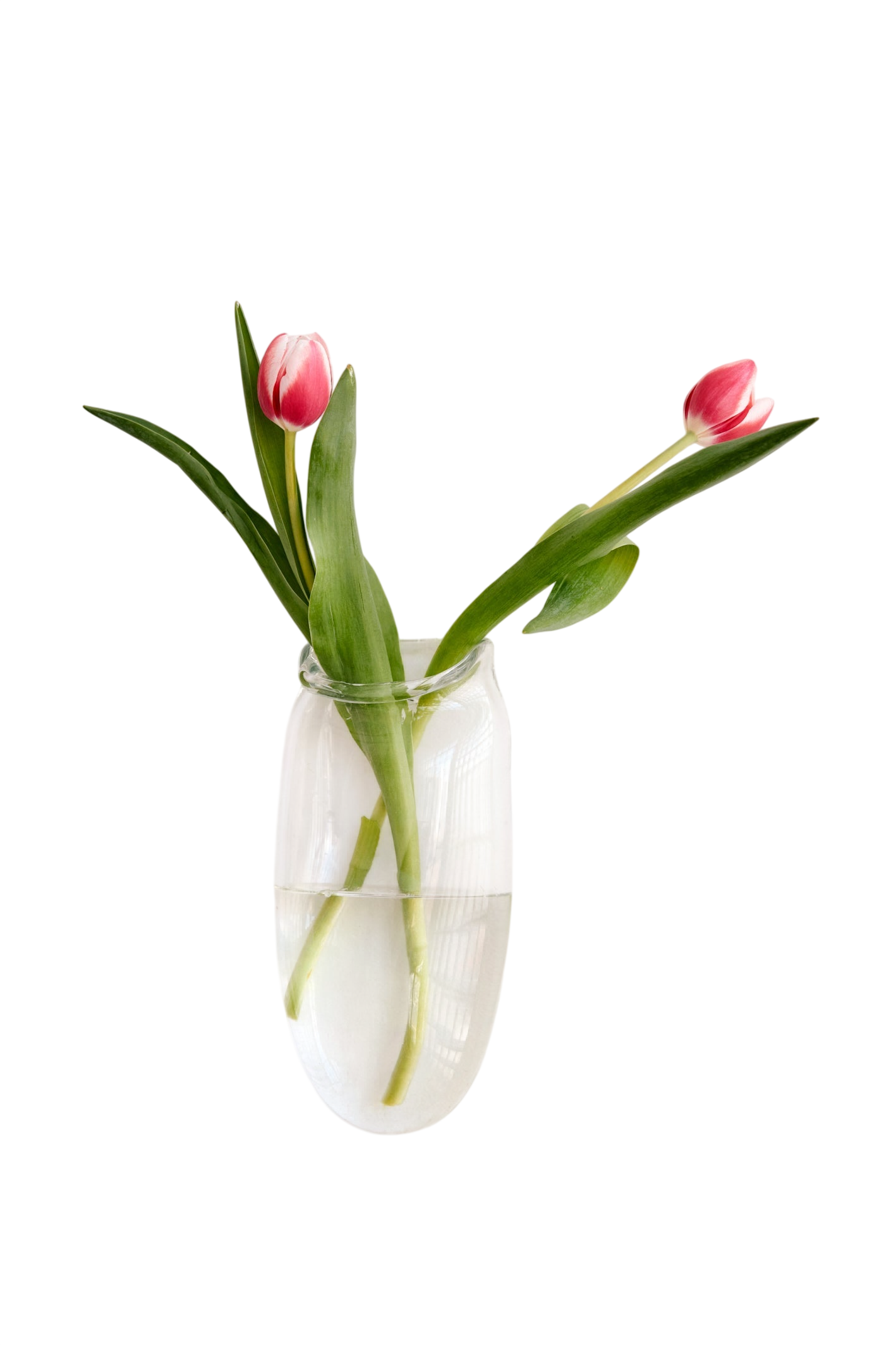 Wall Vase in Clear