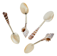 Shell Spoons