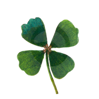 Clover Plate