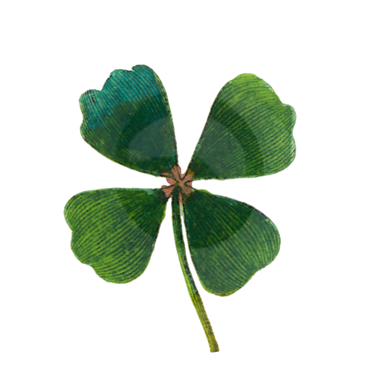 Clover Plate