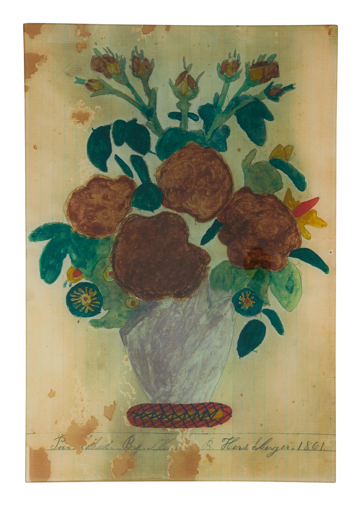 Hershberger Tray