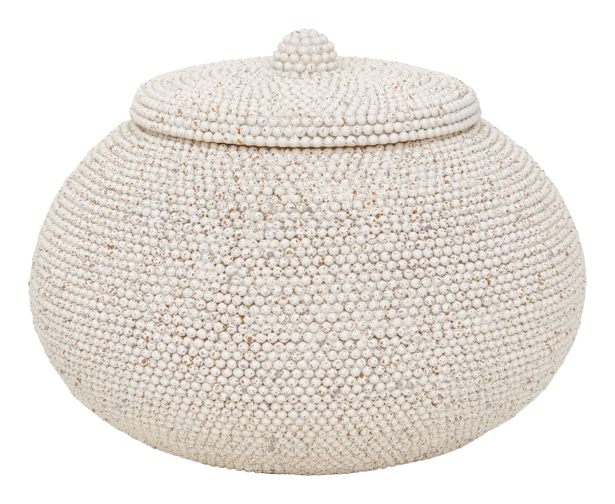 Imani Jars