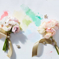 Mini Bug Clip Set (Set of 5) - Pastel
