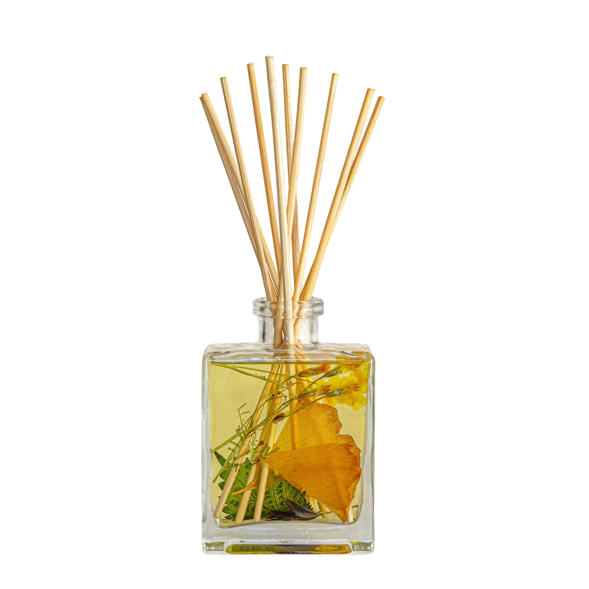 Accent Botanical Reed Diffuser - Harvest Pumpkin