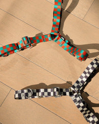 The Fritz Harness