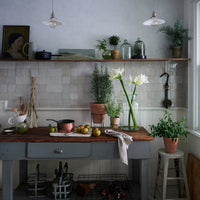 Whitewash Terracotta Studio Planter
