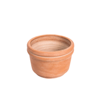Felipe Small Terracotta Planter by MESO