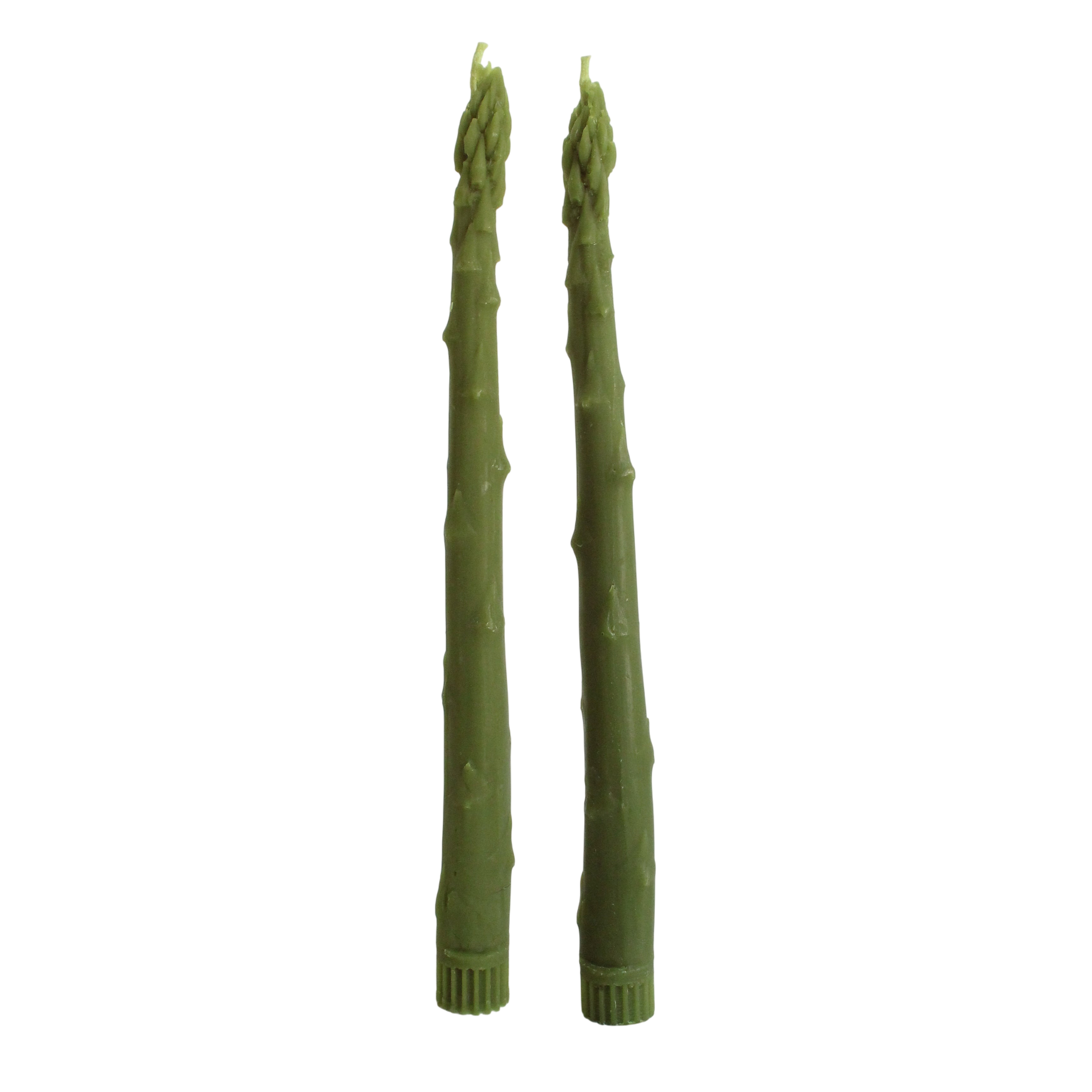 Asparagus Taper Beeswax Candles (Set of 2)