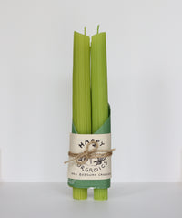 BEESWAX CELERY TAPER CANDLES - SET OF 2