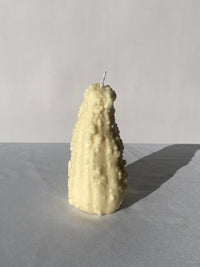 Crookneck Gourd Candle