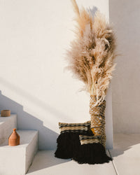 Wugo Throw Pillow -  Gold/Mystic Black