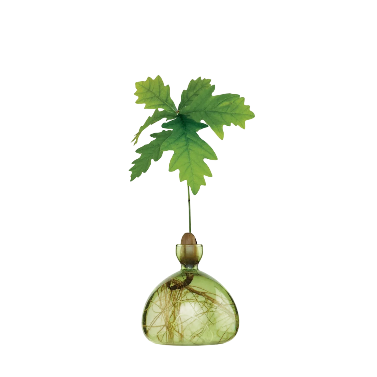 Acorn Vase