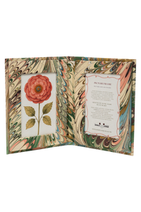 Hand-Marbled Picture Frame Folding Book, 4" x 6" in Flatiron Feathers