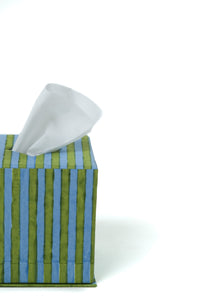 Blockprint Tissue Box Cover in Green and Blue Stripes