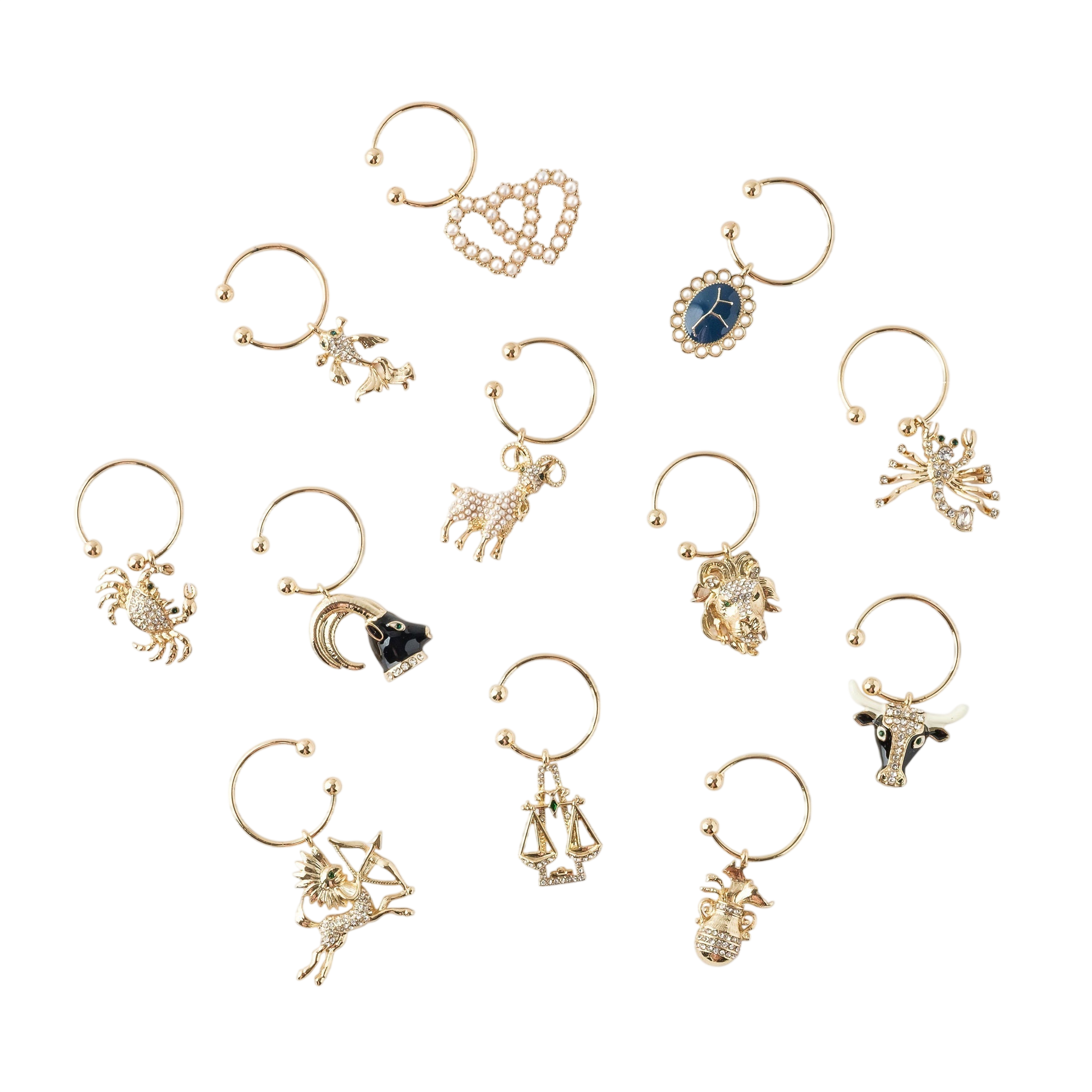 Zodiac Wine Charm Gift Set (Set of 12)