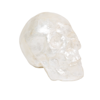 Capiz Skull - Pearl