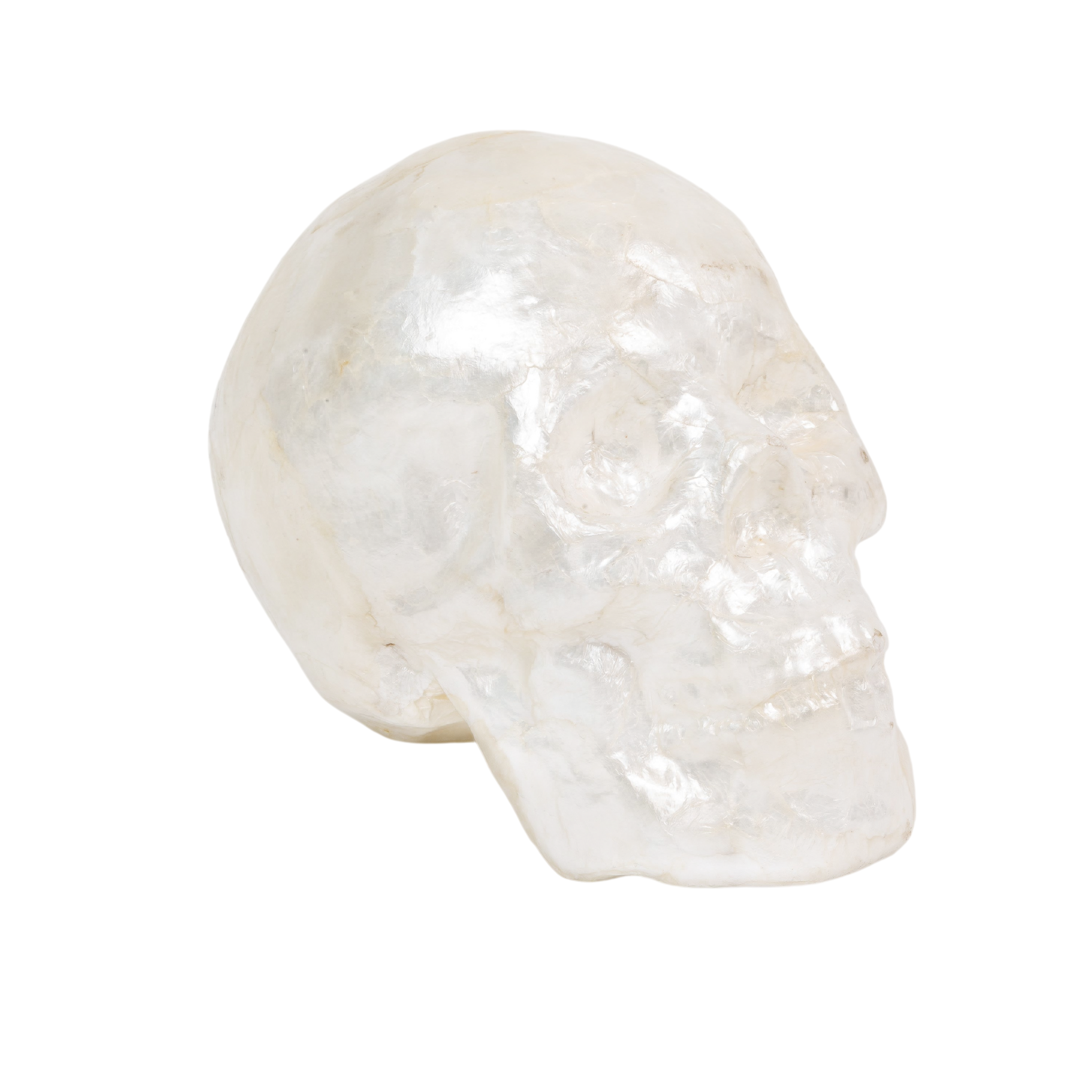 Capiz Skull - Pearl