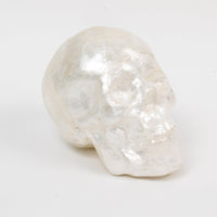 Capiz Skull - Pearl