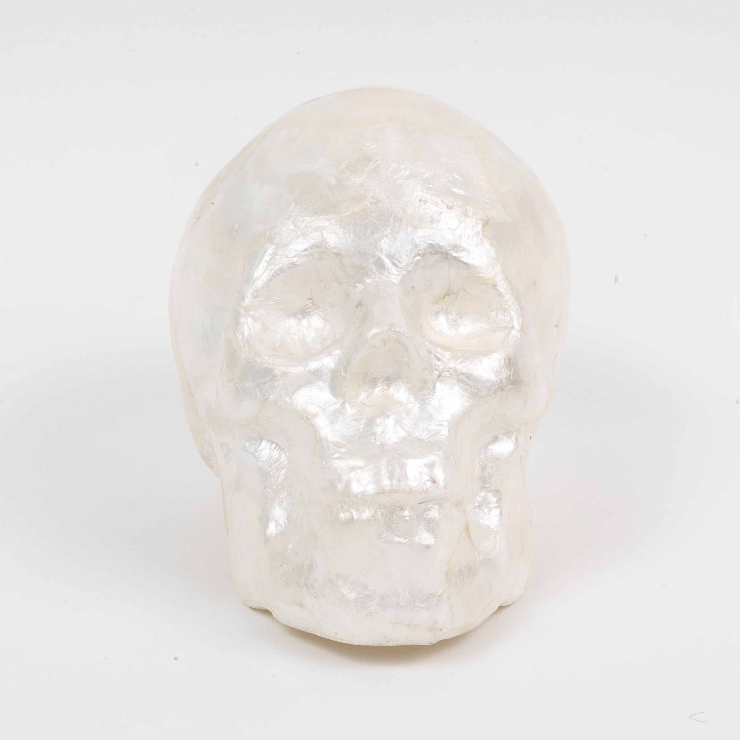 Capiz Skull - Pearl