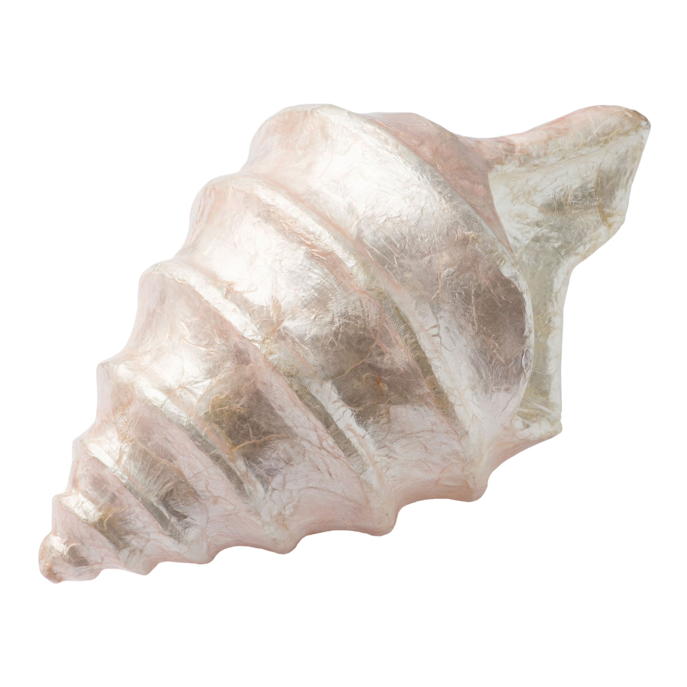Capiz Shell Decorative Object