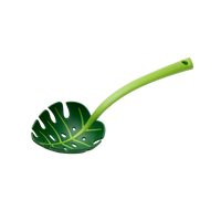 Jungle Spoon