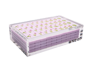 Lucite Mahjong Tile Display Box