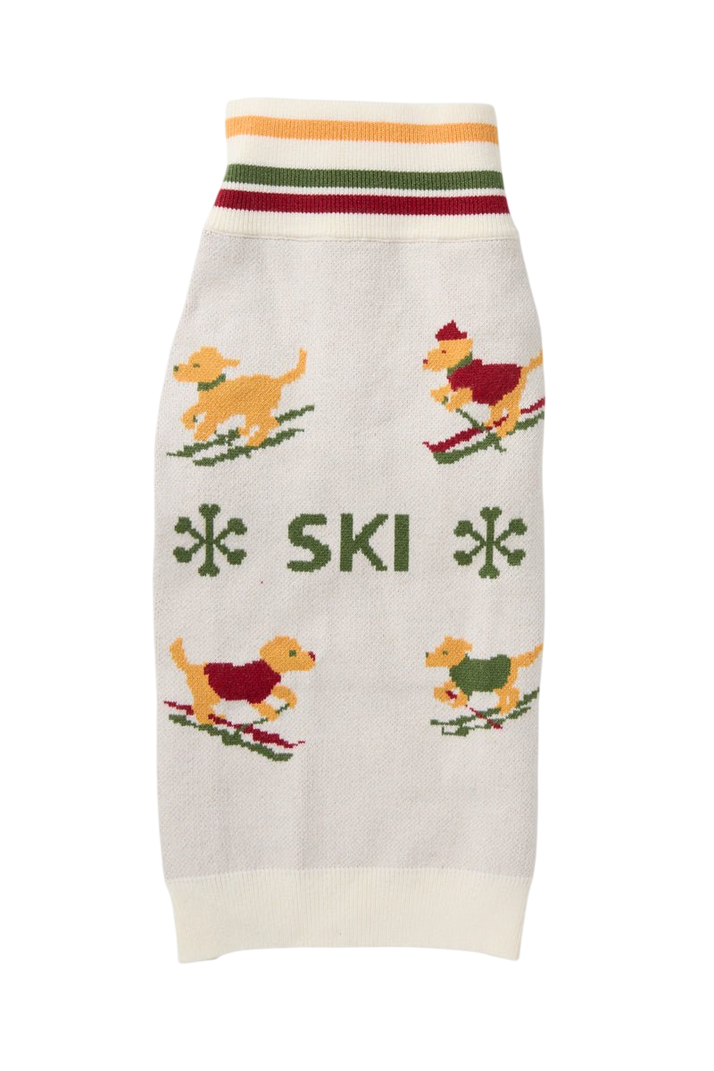 Ski Jumper