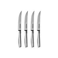 Avanta Stainless Fine Edge Steak Knife Set (Set of 4)