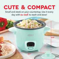 Dash Blue Mini Rice Cooker 2 Cups