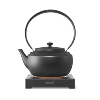 Moonkettle Electric Kettle with Temp Control 122°F - 212°F