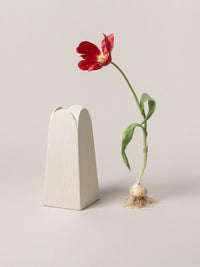 Olto Vase Tall