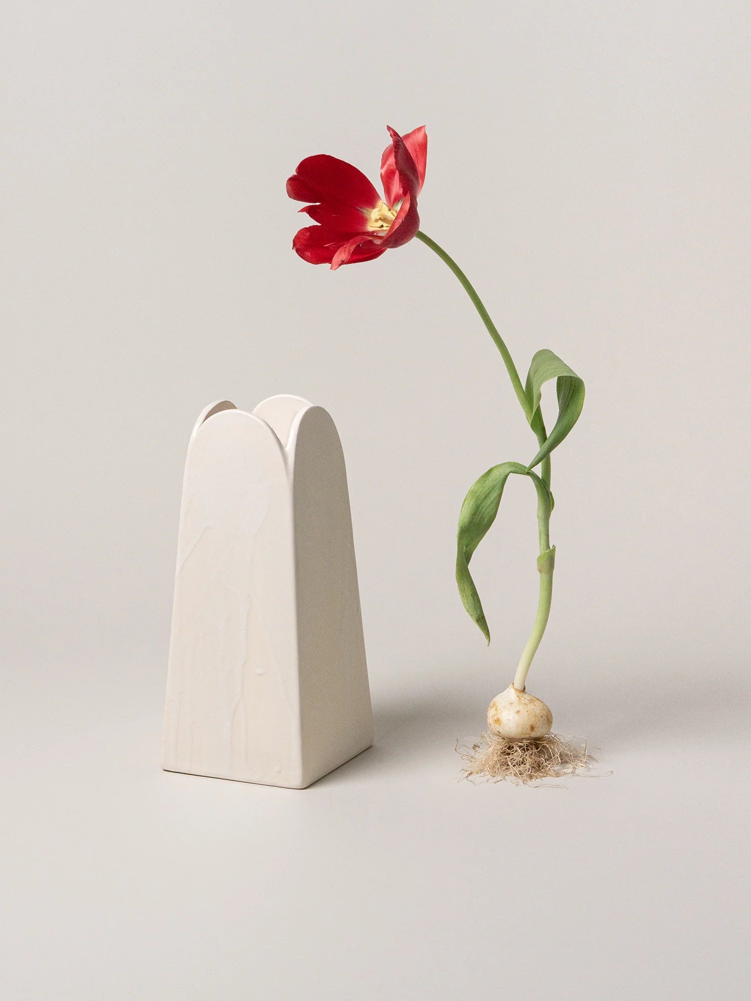 Olto Vase Tall