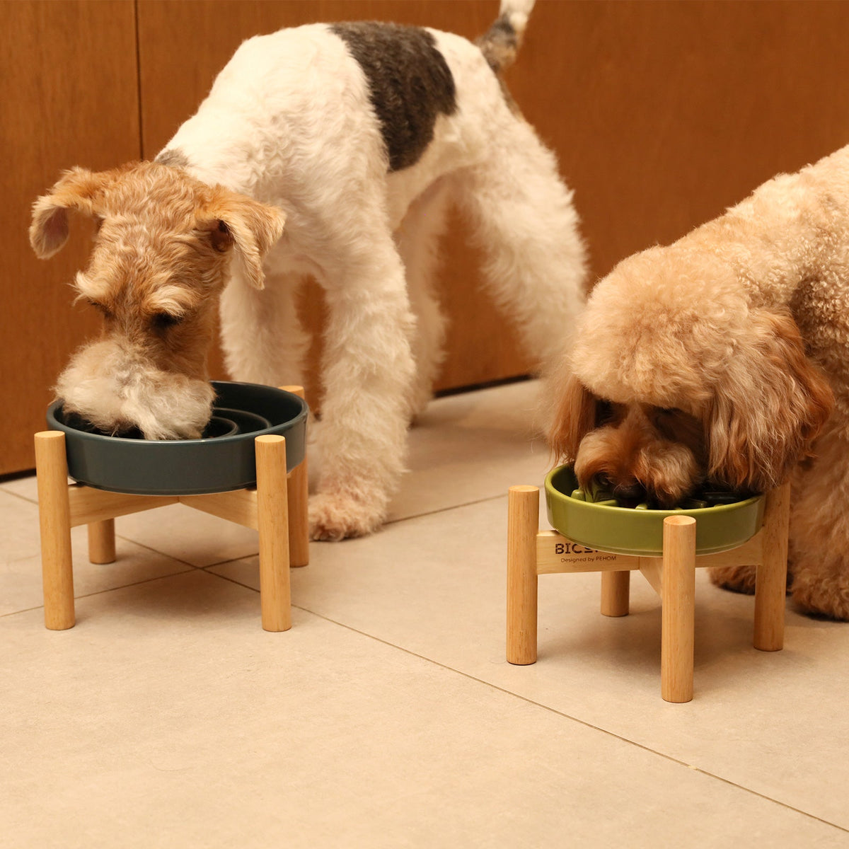 [Spark] Slow Feeder Dog Bowls - Red / Green / Blue