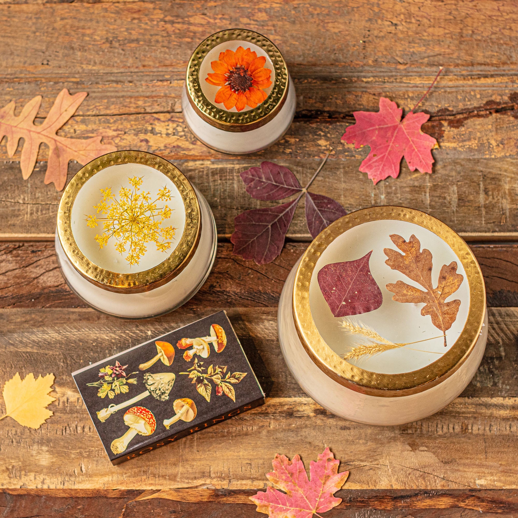 Harvest Pumpkin Medium Pressed Floral Candle