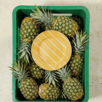 Pineapple Dinner Plate, Set of 8