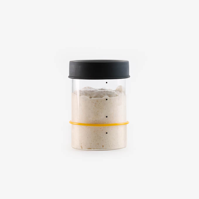 Sourhouse Starter Jars (Pint or Quart) (Fulfilled by Sourhouse)