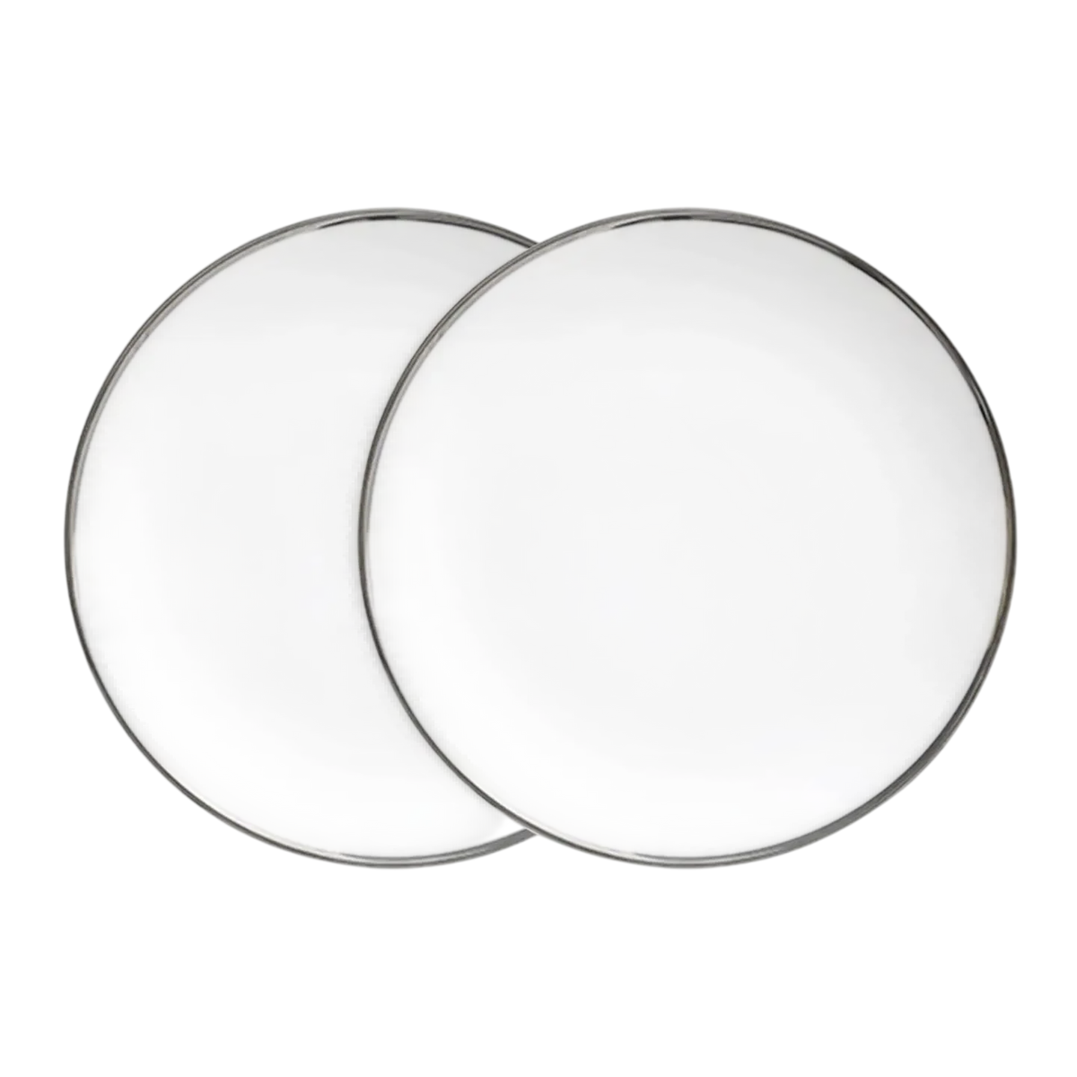 Platinum Edge Salad Plates, Set of 8