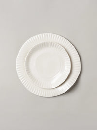 Porcelain Paper Dinner Plate (Set of 2)