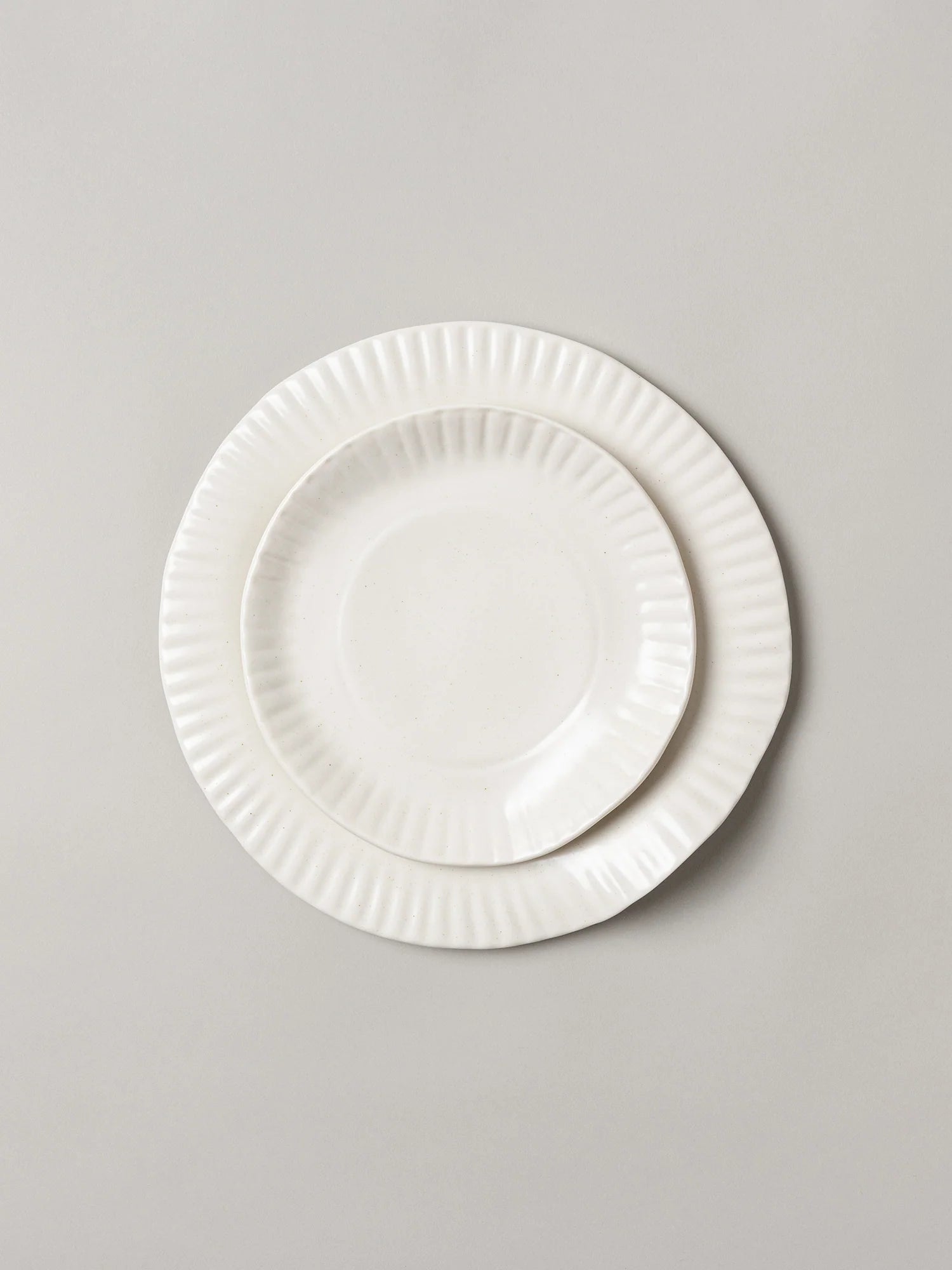 Porcelain Paper Dinner Plate (Set of 2)