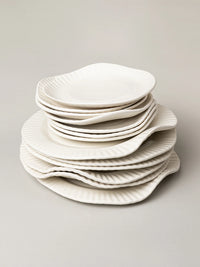 Porcelain Paper Dinner Plate (Set of 2)