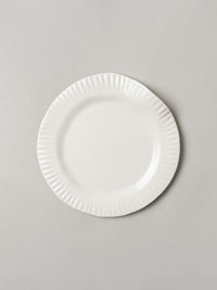 Porcelain Paper Dinner Plate (Set of 2)